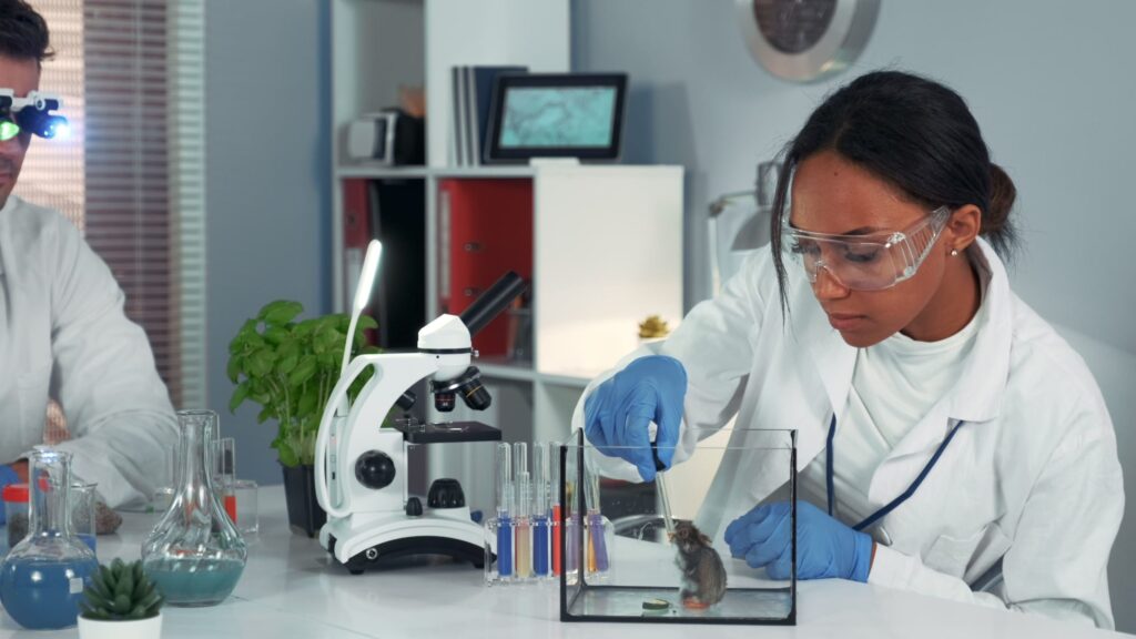 A woman in white lab coat and blue gloves looking at a rat.