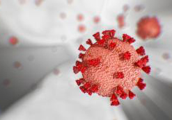 Corona Virus Animation Image